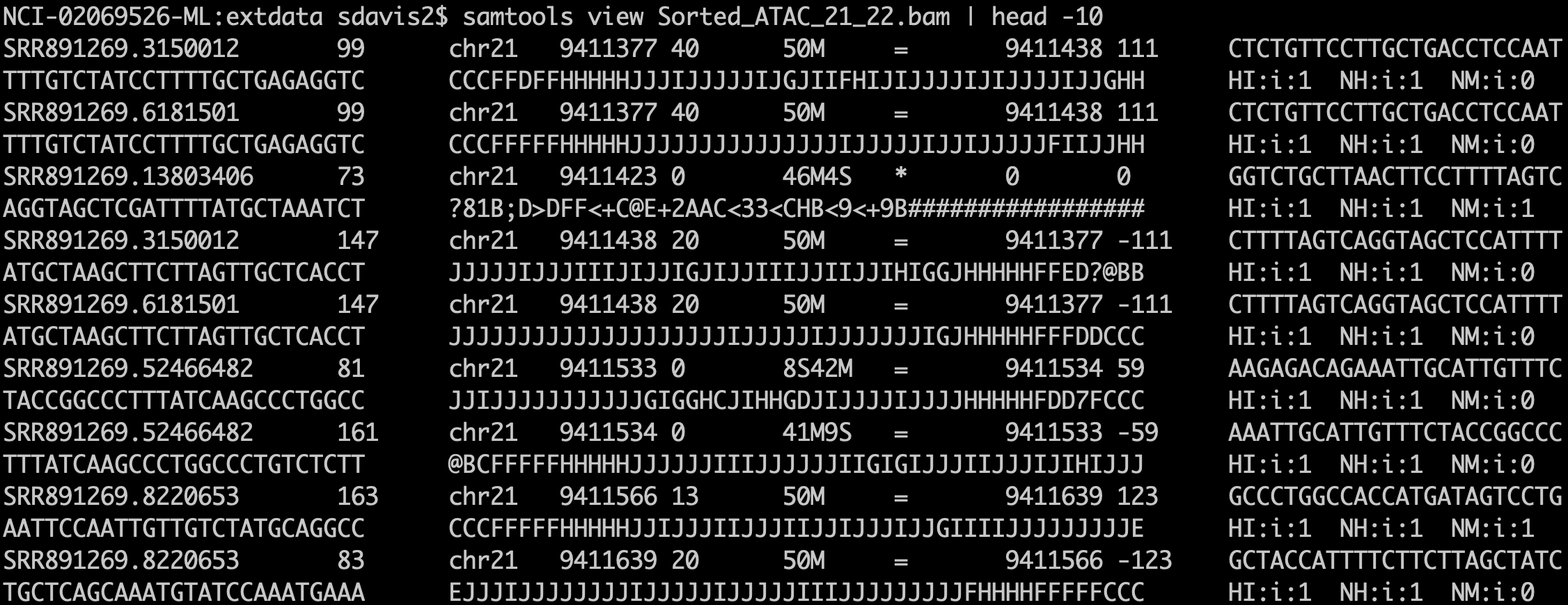 A BAM file in text form. The output of `samtools view` is the text format of the BAM file (called SAM format). Bioconductor and many other tools use BAM files for input. Note that BAM files also often include an index `.bai` file that enables random access into the file; one can read just a genomic region without having to read the entire file.