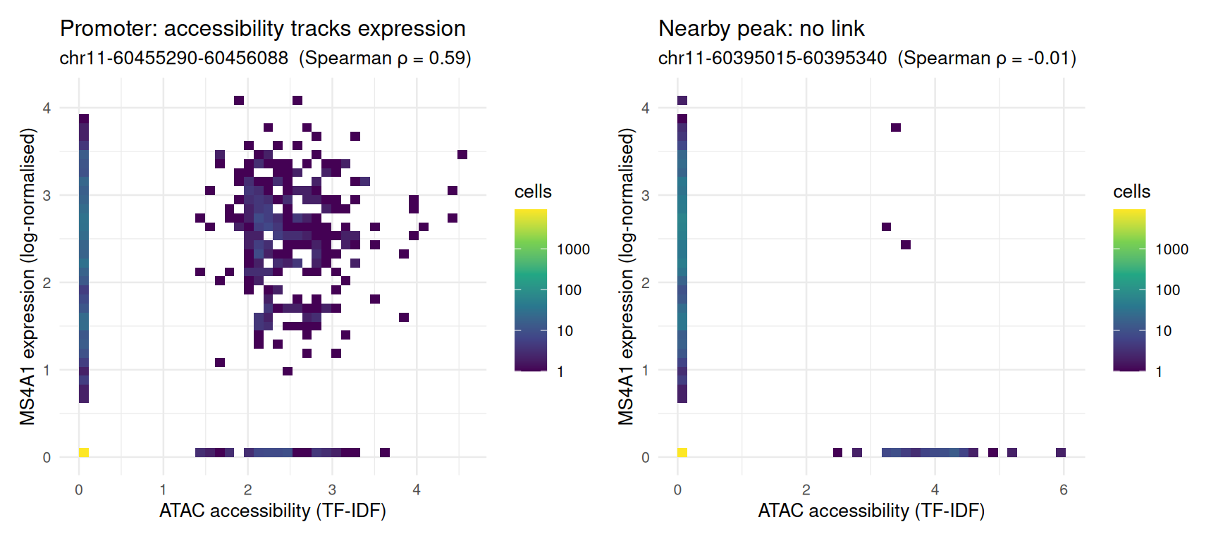 Per-cell ATAC accessibility (x) versus MS4A1 expression (y) across all 10,032 cells, binned into a 2-D histogram with a log-scaled colour. Left — the promoter peak: a distinct population of cells (the B cells) is high in both modalities, and it is this joint high–high cloud that drives the positive Spearman correlation. Right — a nearby peak with ρ ≈ 0: the accessible cells (spread along the x-axis at zero expression) and the expressing cells (spread up the y-axis at zero accessibility) are largely different cells, so the two signals never coincide. The bright bin at the origin is the majority of cells in which neither modality was detected — the pervasive dropout of single-cell assays, and the reason a density view is clearer here than a raw scatterplot.
